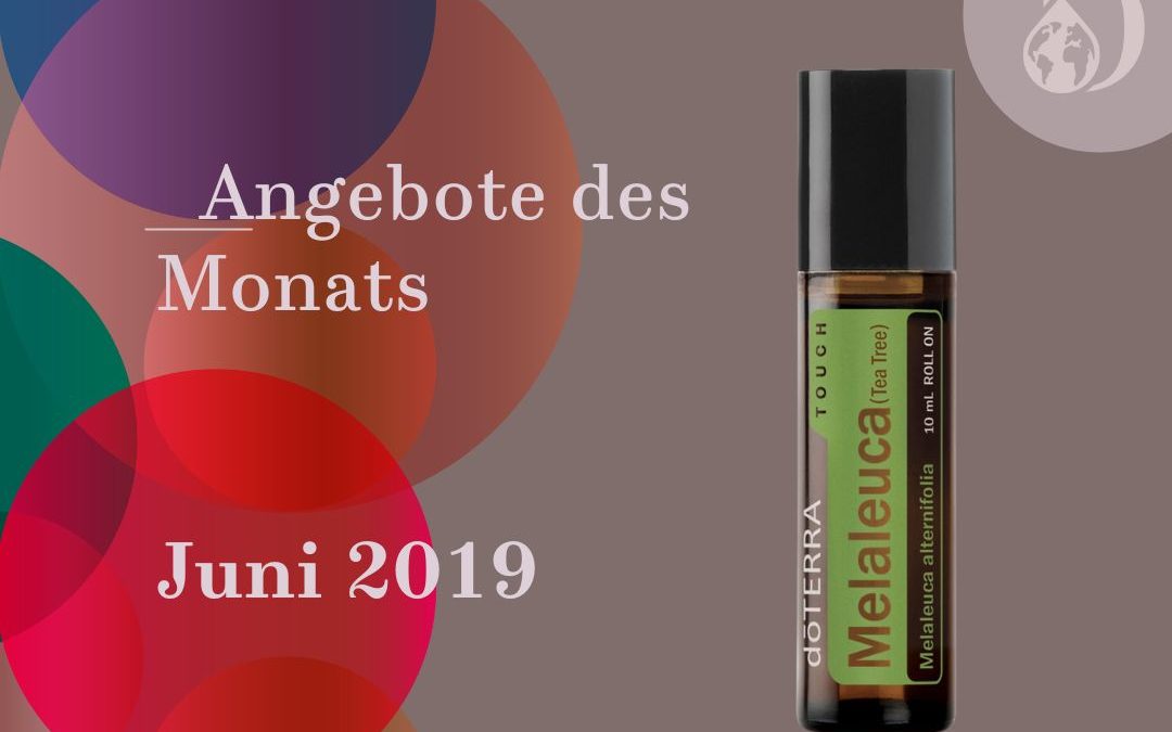 Angebote des Monats Juni 2019