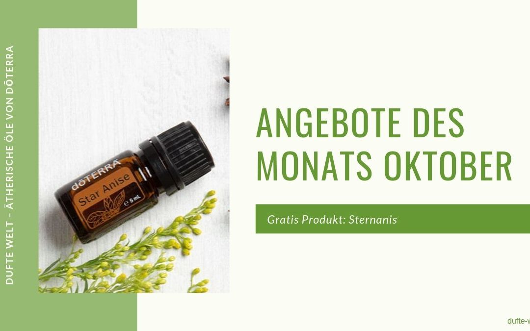 Angebote des Monats Oktober 2019