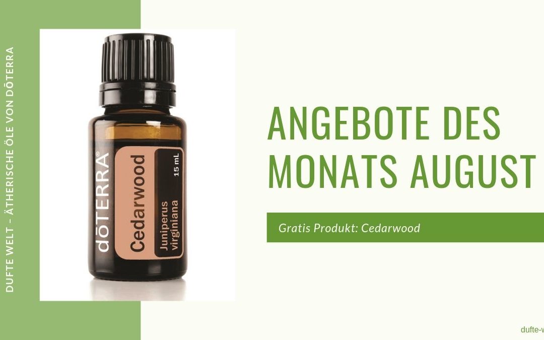 Angebote des Monates August 2019