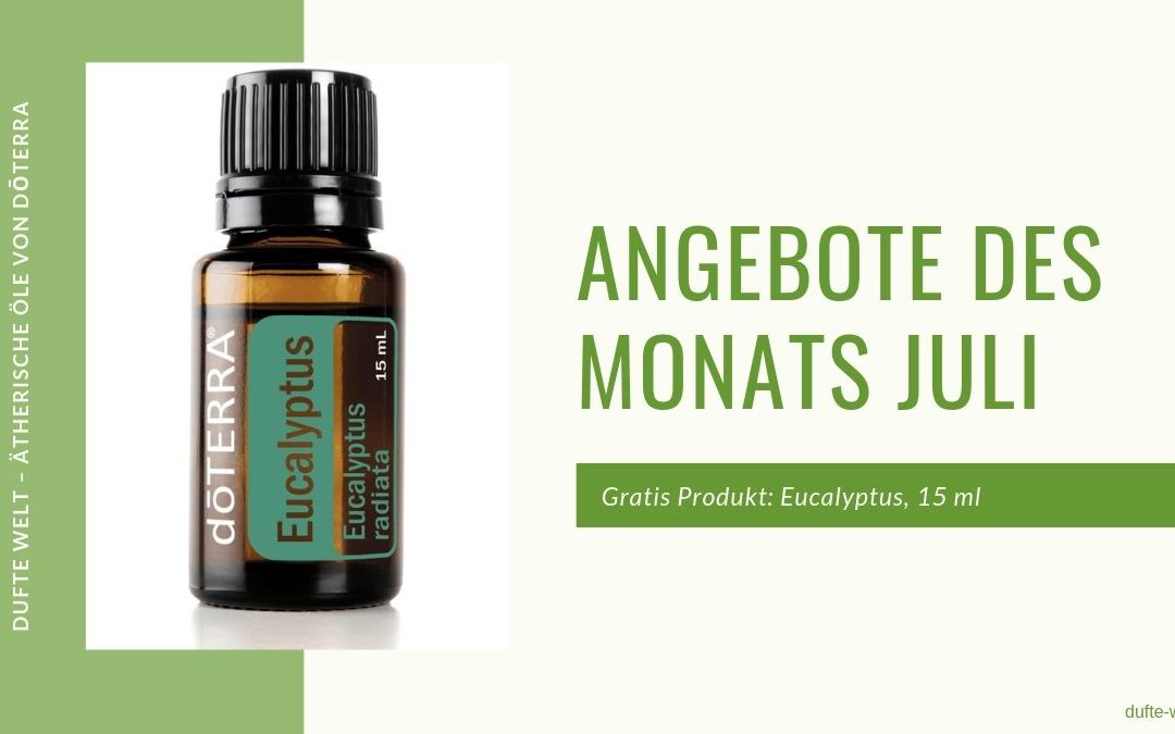 Angebote des Monates Juli 2019