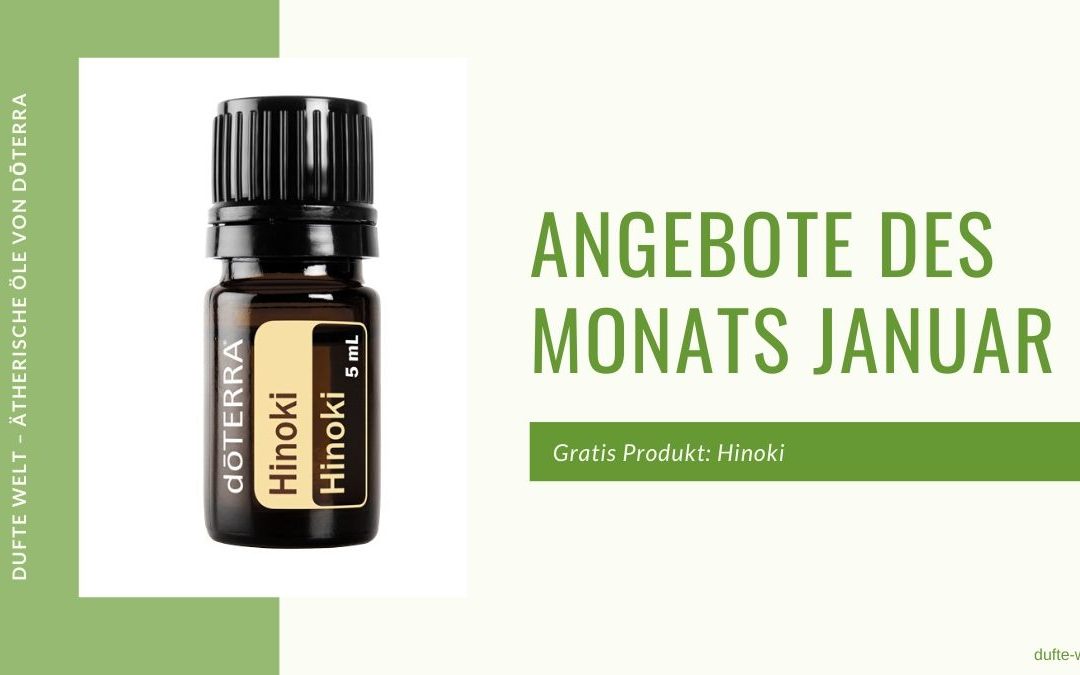 Angebote des Monats Januar 2020