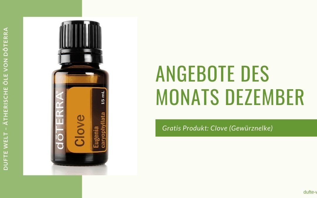 Angebote des Monats Dezember 2019