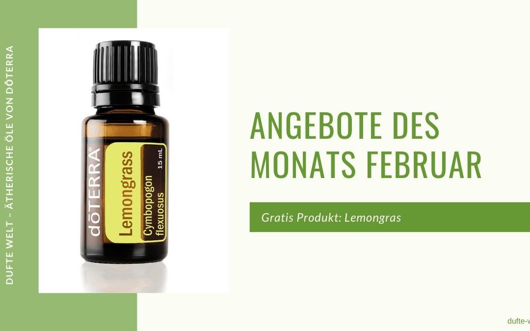 Angebote des Monats Februar 2020