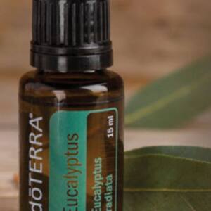 dōTERRA Eukalyptus, 15 ml reines ätherisches Öl