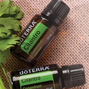 dōTERRA Koriander Öl, 15 ml reines ätherisches Öl