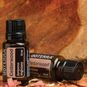 dōTERRA Zedernholz, 15 ml reines ätherisches Öl