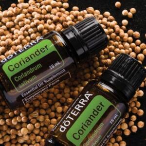 dōTERRA Koriander Samen Öl, 15 ml reines ätherisches Öl