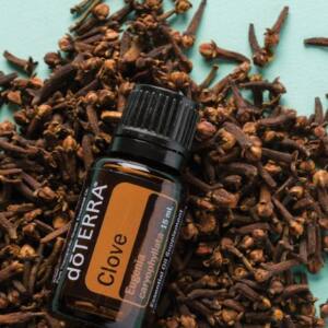 dōTERRA Nelke (Gewürznelke), 15 ml reines ätherisches Öl