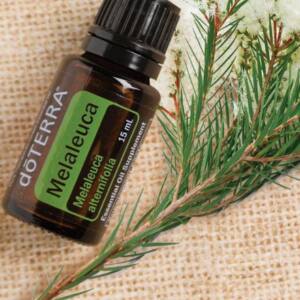 dōTERRA Teebaum, 15 ml reines ätherisches Öl
