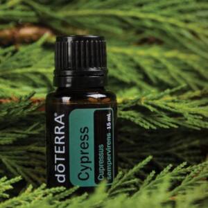 dōTERRA Zypresse, 15 ml reines ätherisches Öl