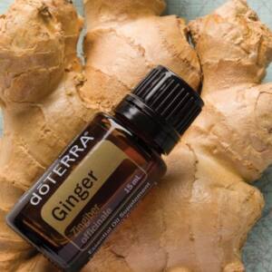 dōTERRA Ingwer, 15 ml reines ätherisches Öl